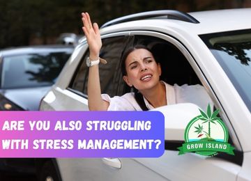 Stress Management: Natural Solutions and Tips