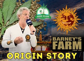 Barney’s Farm – The Story of a World-Renowned Cannabis Seed Bank