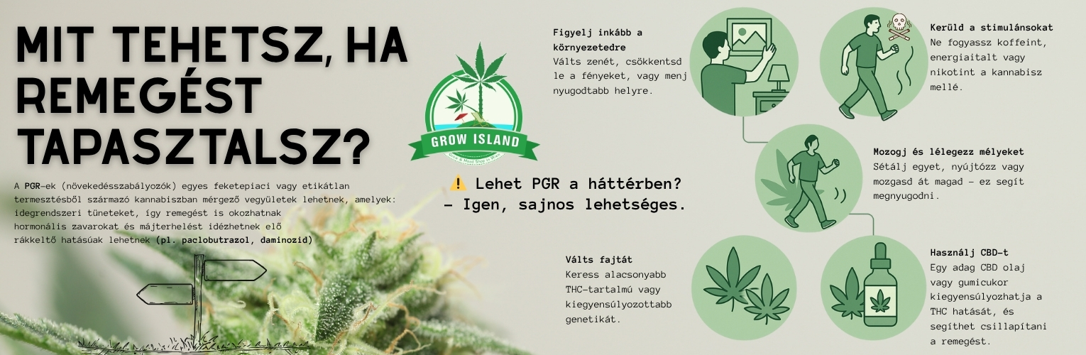 A kannabisz fogyasztása során a szabadgyökök szabadulhatnak fel