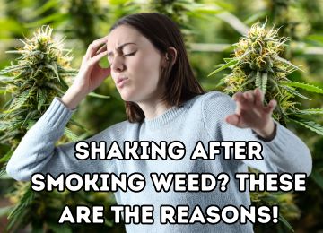 Why do you shake after using cannabis?