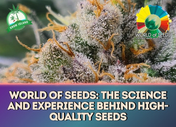 World of Seeds: A Legend in the World of Cannabis Genetics
