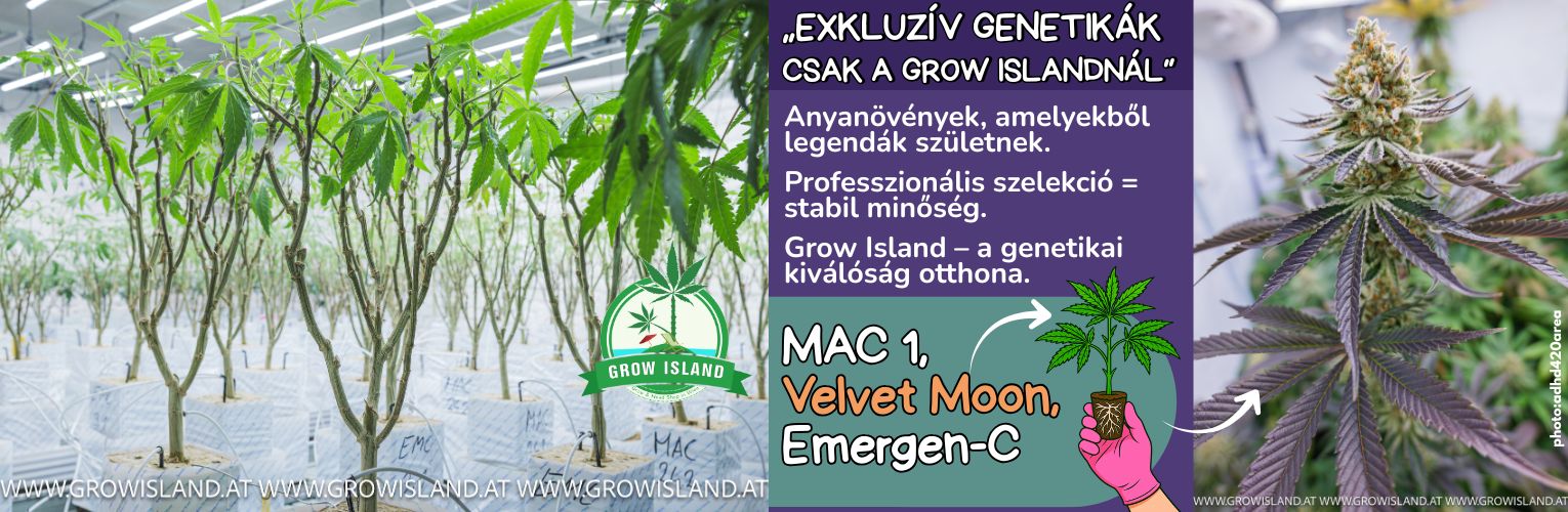 Exklusive Genetiken