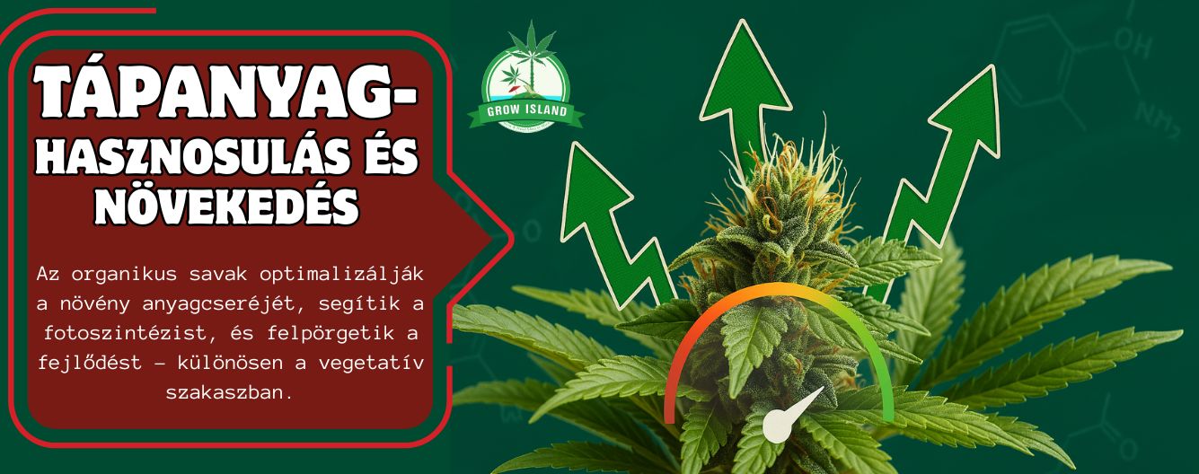 Növekedési rakéta: biostimulánsokkal a maximumig