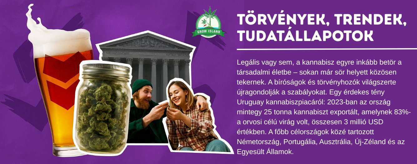 Törvény és tudat