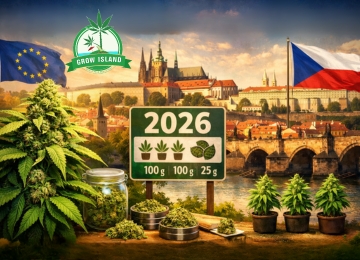 Cannabis Legalization in the Czech Republic in 2026