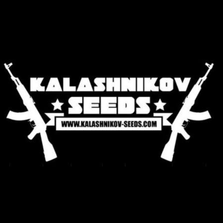 Kalashnikov Seeds