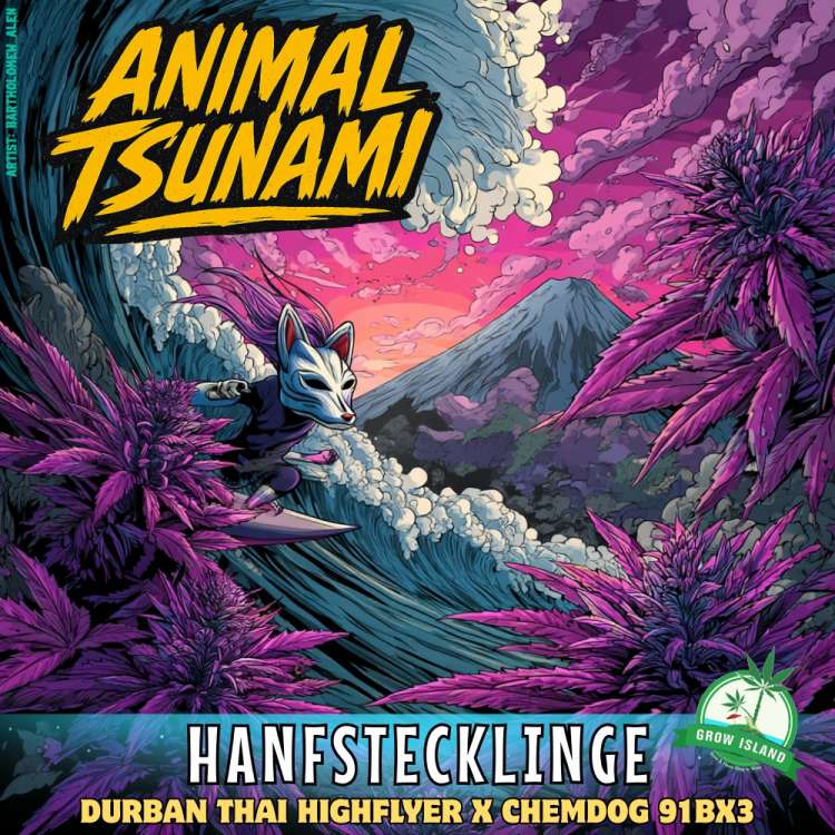 Animal Tsunami Hanfstecklinge — Illustration mit Fuchsmaske‑Surfer und violetten Blüten; Durban Thai Highflyer × Chemdog 91BX3; Grow Island.