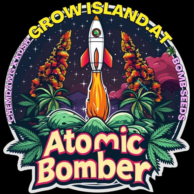 Atomic Bomber Logo, eine nach oben fliegende Rakete zwischen zwei hohen, rot getönten Cannabispflanzen vor sternklarem Himmel.