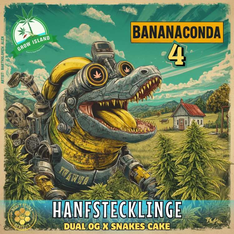 BananaConda 4 mechanischer Krokodil‑Banane‑Hybrid neben Hanfpflanzen, mit Grow‑Island‑Logo; Dual OG × Snakes Cake.