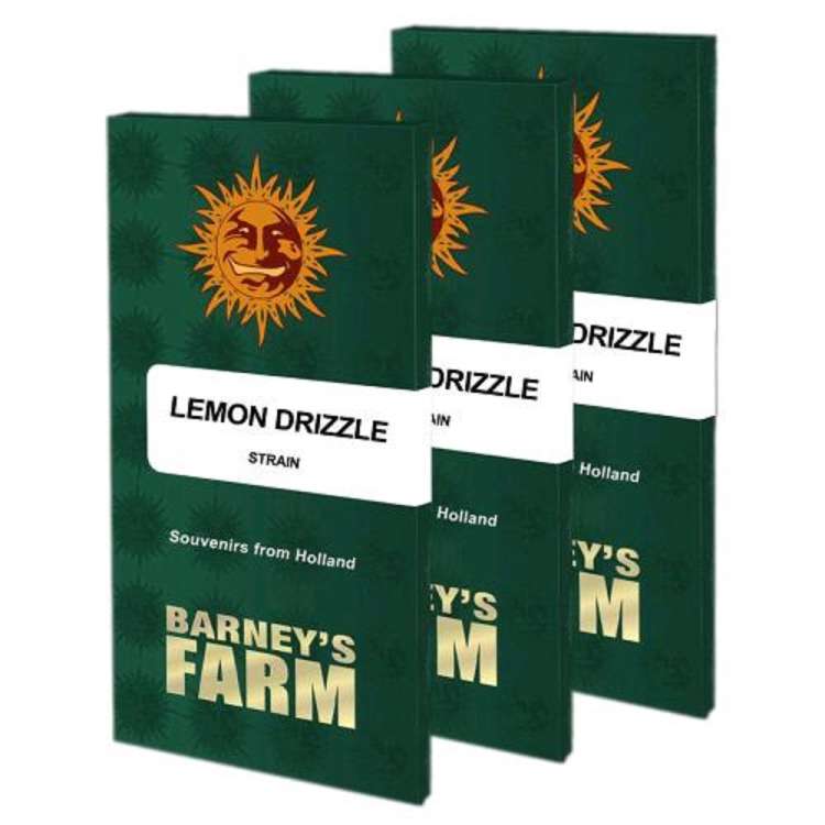 Lemon Drizzle seed pack in dark green color with orange barneys farm sun logo