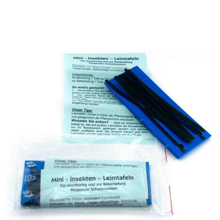 Blautafeln 10Stk