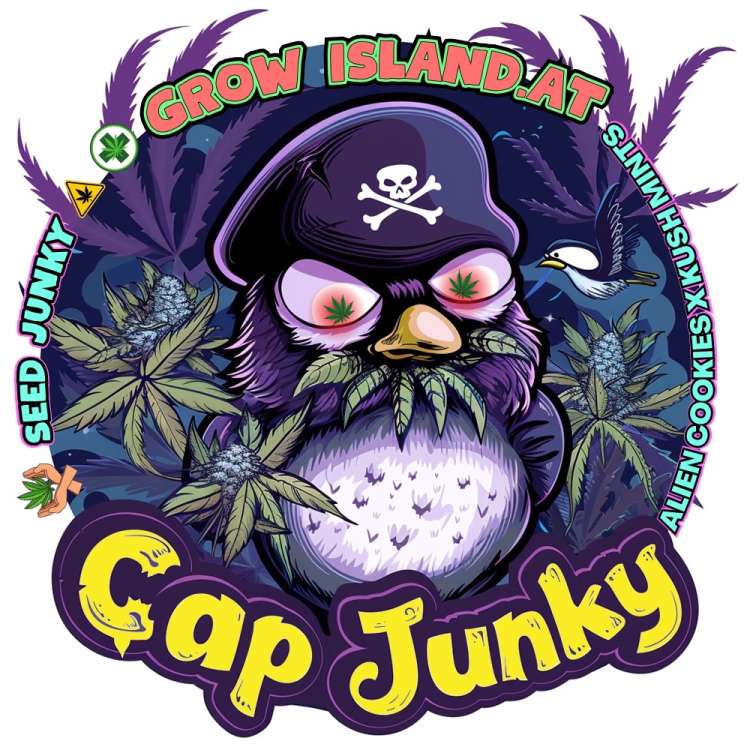 Cap Junky Logo, ein dunkel gefiederter Papagei mit Piratenhut und einem Cannabisblatt im Schnabel.