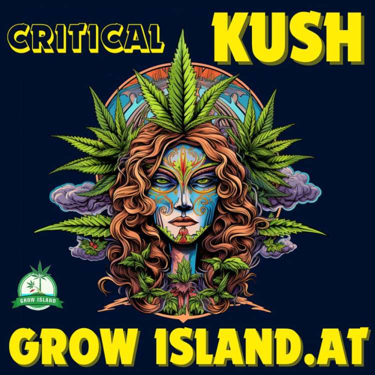  Critical Kush Logo, schamanische Fraue, umgeben von Cannabisblättern.