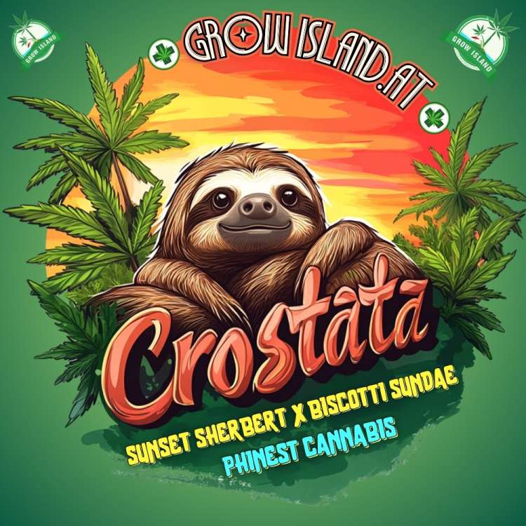 Crostata Logo, ein niedliches Faultier zwischen Cannabisblättern.