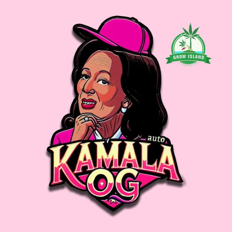 Kamala Og logo, a lady with black hair and pink baseballcap with pink background and a green Grow Island logo in the upper right corner