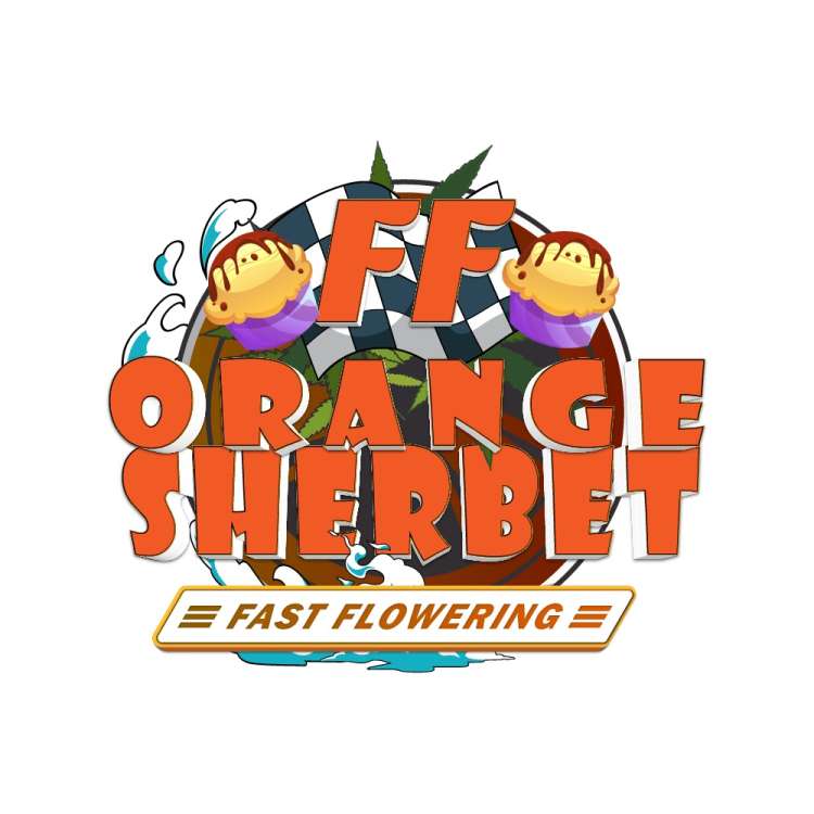 Orange Sherbet Fast Flowering logo