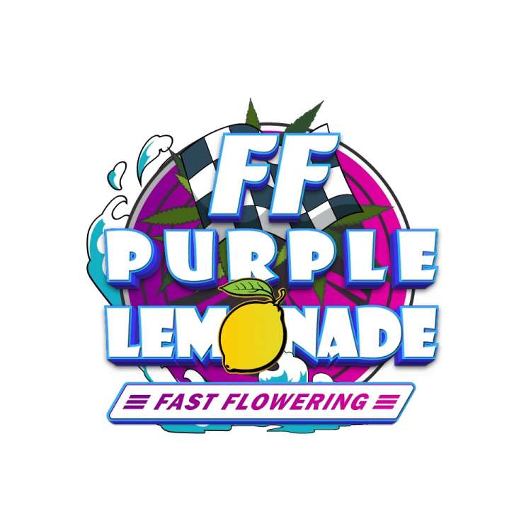 Purple Lemonade Fast Flowering logo with white text one lemon insted of letter o