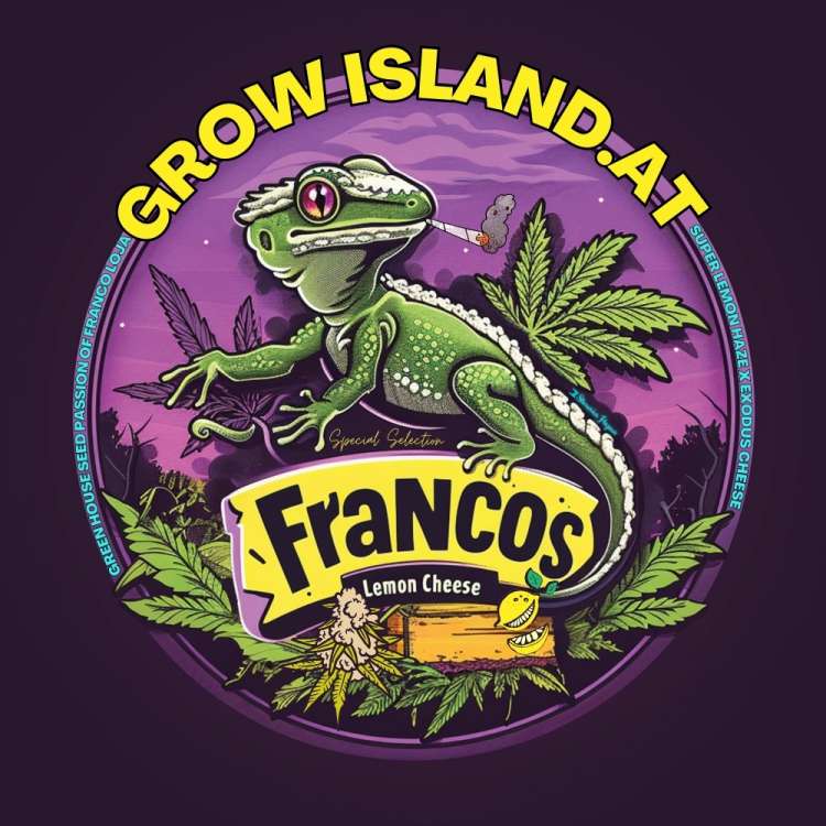 Franco’s Lemon Cheese Illustration: grüner Gecko mit Joint, umgeben von Hanfblättern in einem violetten Emblem, GrowIsland.at Branding.