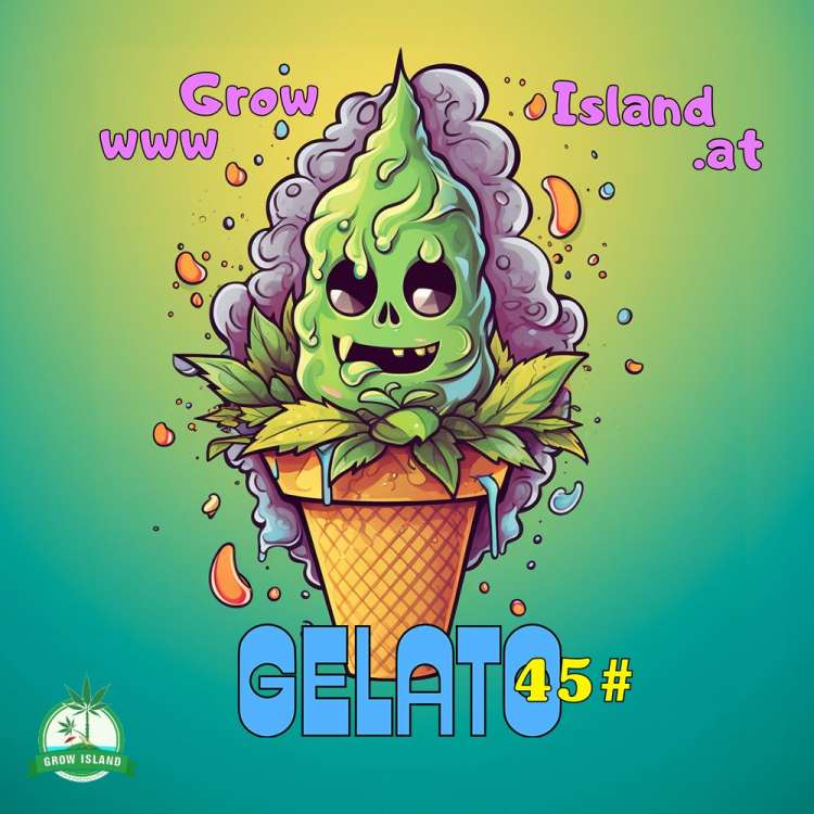 Gelato 45 logo with green-blue-yellow blackground, a green ice cream with cannabis leafs