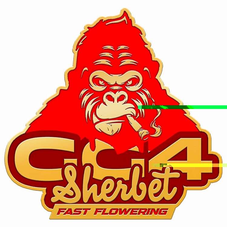 GG4 Sherbet red logo with gorilla