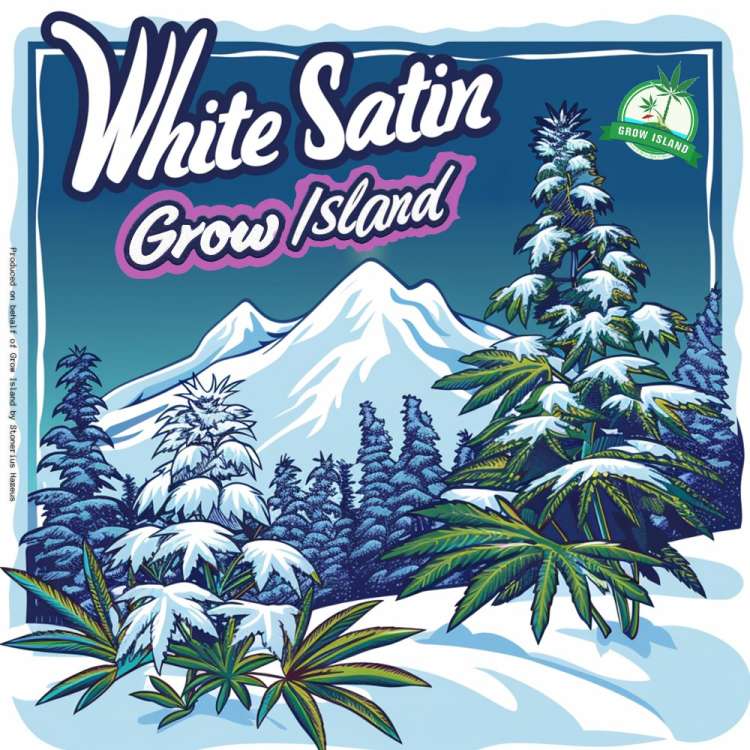Wedding Cake Logo — rothaarige Frau im weißen Kleid steht hinter einer Cannabistorte und hält in beiden Händen Marihuana