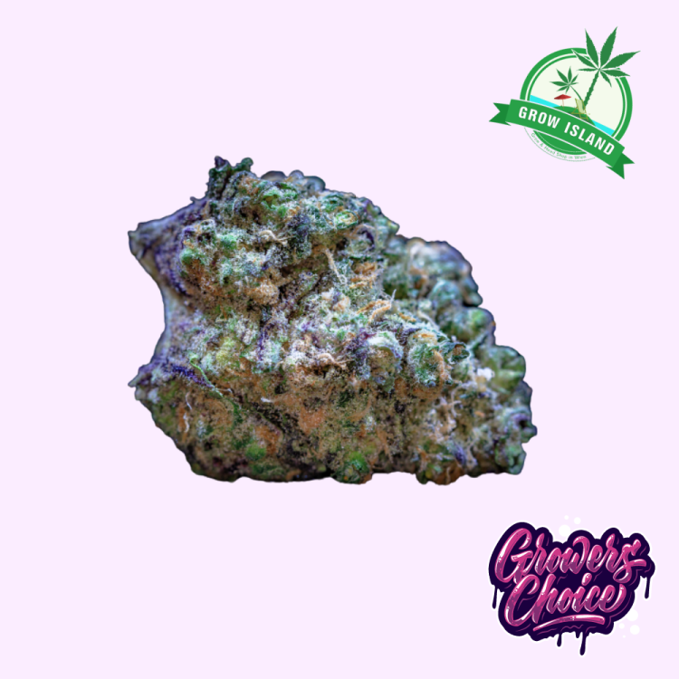Frozen Cherry Runtz hemp flower bud