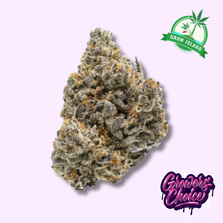 Rainbow Runtz hemp flower bud