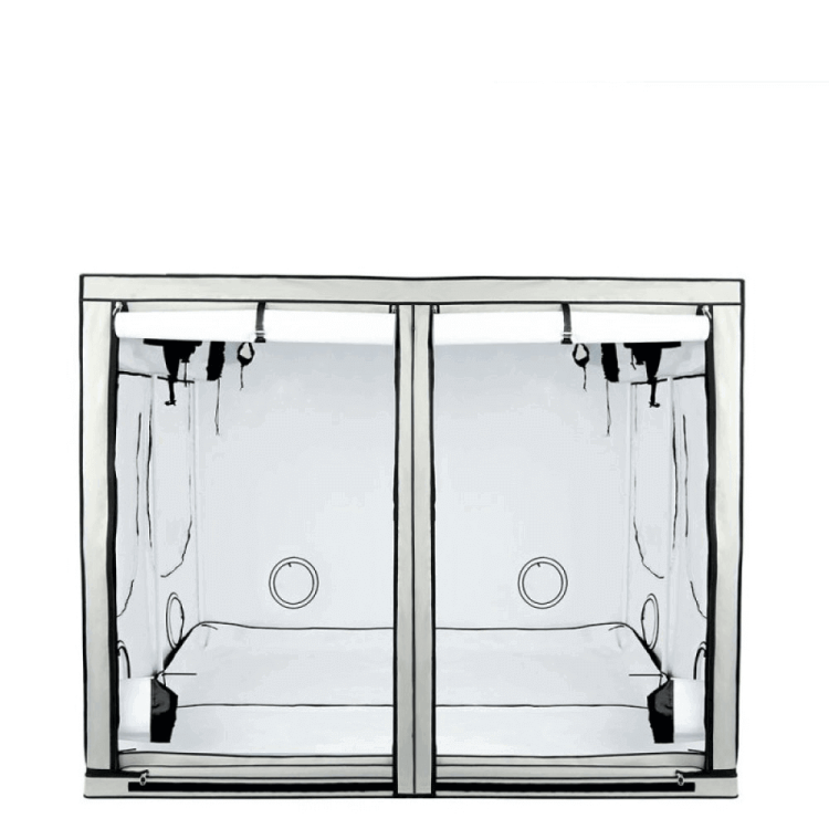 Homebox Ambient Q240 - 240x240x200cm