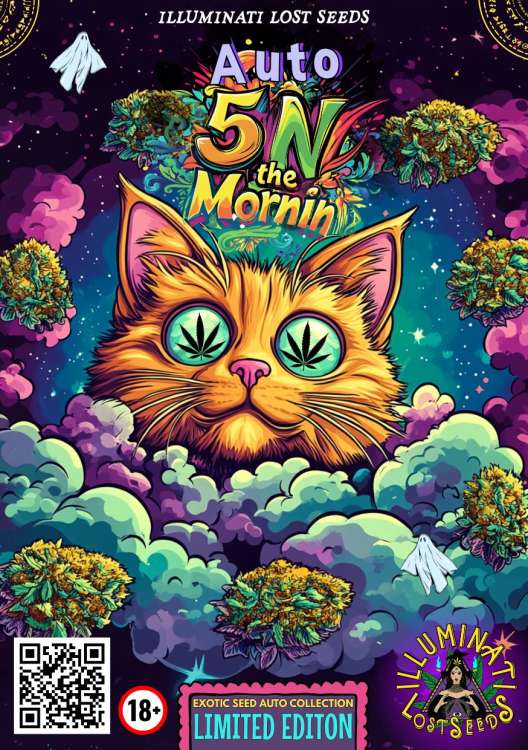 5N the Mornin Katze mit Hanfblüten und Wolken, Illuminati Lost Seeds Logo mit einer Hexe in der rechten unteren Ecke.
