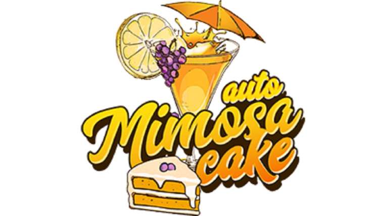Mimosa Cake Auto logo with yellow text and one coctail in the background