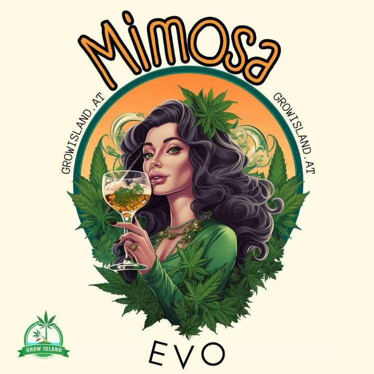 Mimosa Evo Logo auf beigem Hintergrund; schwarzhaarige Frau trinkt einen Cocktail, trägt ein grünes Kleid und hat ein Cannabisblatt im Haar.