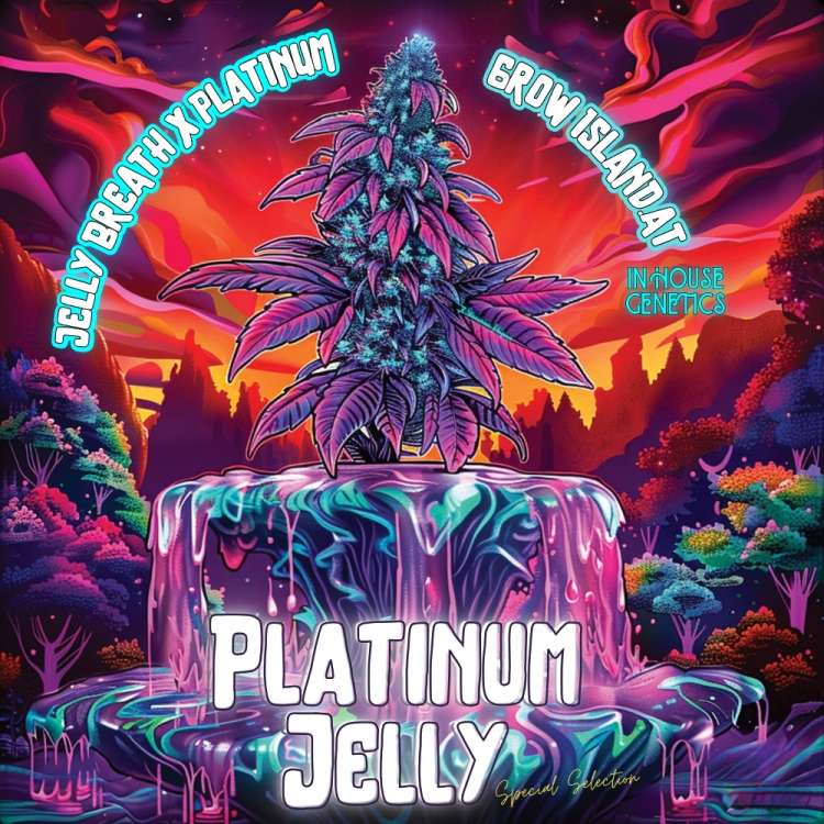 Platinum Jelly logo, In the center of a fountain with a huge cannabis plant. Red and purple shade sky