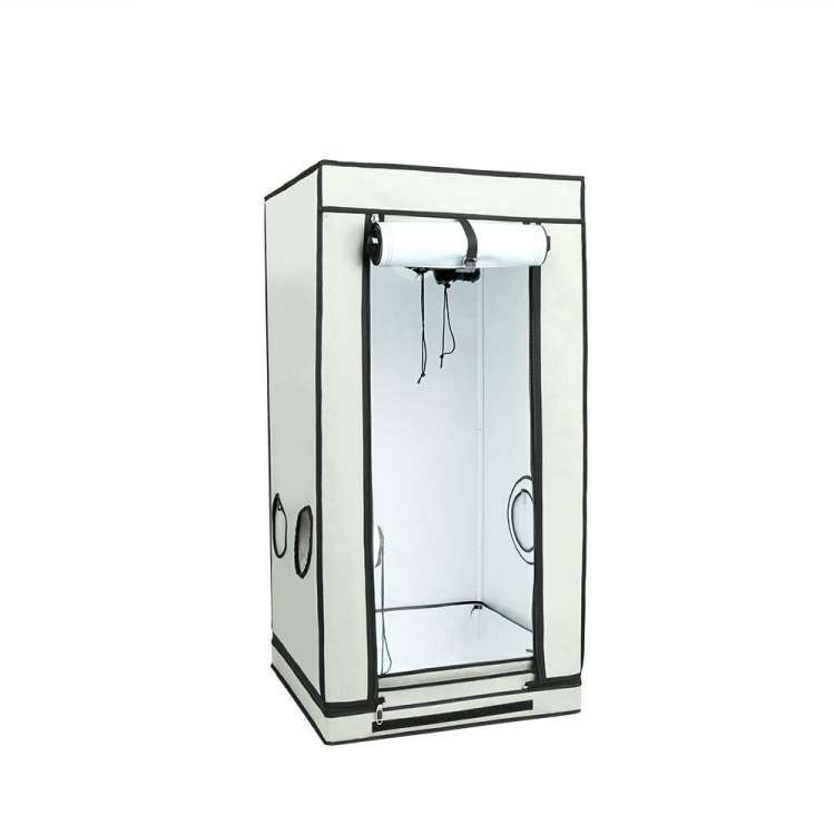 Homebox-Ambient-Q60-plus -60x60x160cm