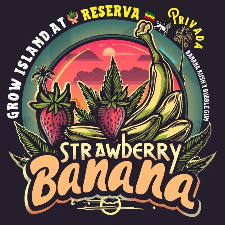  Strawberry Banana Logo — vier Bananen, zwei Erdbeeren und einige Cannabisblätter.