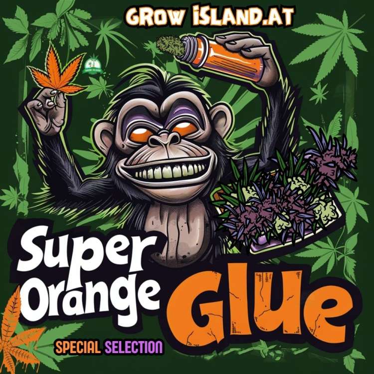 Super Orange Glue Logo — ein Affe mit orangefarbenen Cannabisblättern und orangefarbener Sprühdose, umgeben von grünen Cannabisblättern.