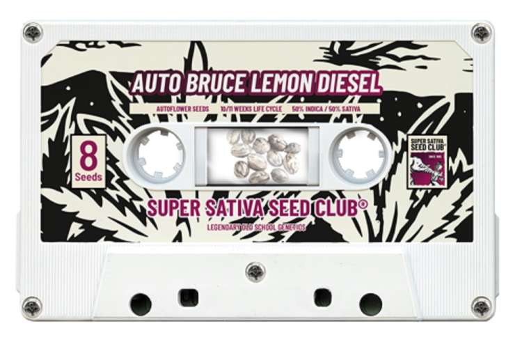 White cassette with the plant name Bruce Lemon Diesel on it