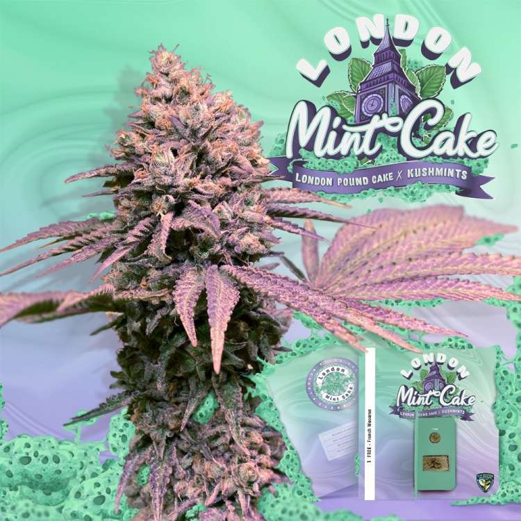 T. H. Seeds / FEM / London Mint Cake