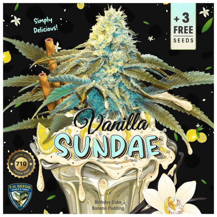 T. H. Seeds / FEM / Vanilla Sundae