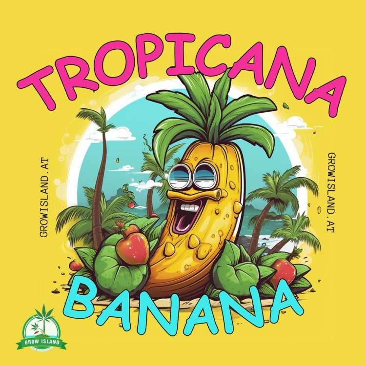 Tropicanna Banana Logo — gelber Hintergrund; eine Banane mit Sonnenbrille entspannt zwischen zwei Palmen.