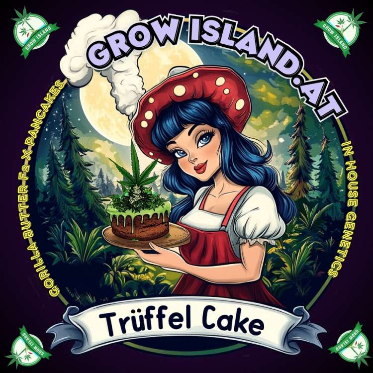 Trüffel Cake Logo — schwarzhaarige Frau mit rotem Hut und rotem Kleid hält eine grüne Torte mit Cannabisblättern; im Hintergrund Kiefern und ein leuchtender Vollmond.
