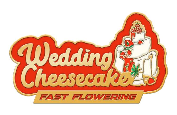 Wedding Cheesecake Fast Flowering logo with a cake