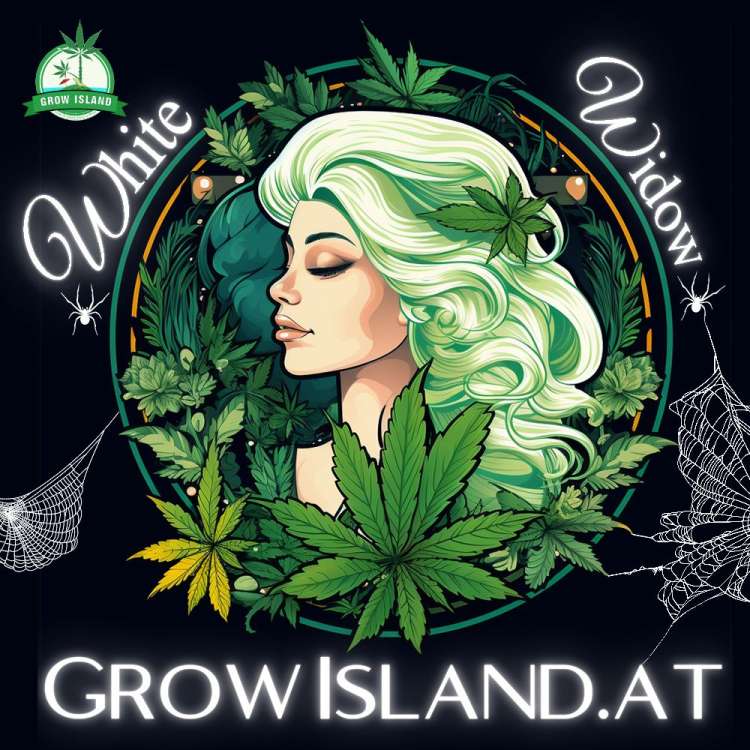 White Widow XXL Logo — grünhaarige Frau, umgeben von Cannabisblättern.