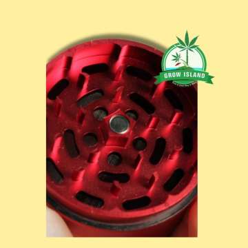 red  After Grow Solinder Grinder teeth with yellow background and green Grow Island logo in the right upper corner