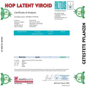 Virustest, bei dem Banoreoz negativ auf das Hopfen‑Latent‑Viroid getestet wurde.