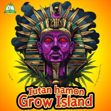 Tutanhamon Logo — Tutenchamun‑Gesicht mit roten Augen, am Hals Cannabisblätter.
