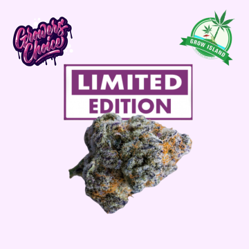 Platinum Mimosa Cookies Double XL hemp flower bud