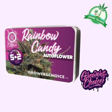 Rainbow Candy seed box with hemp flower bud picture
