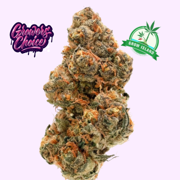 Blue Forest Berry hemp flower bud
