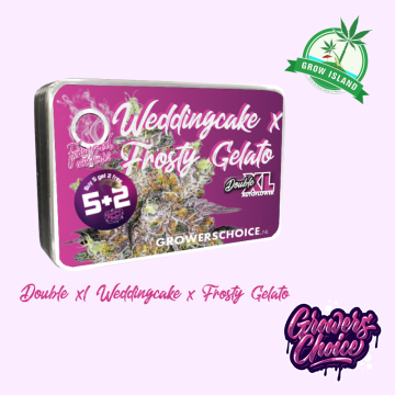 Blue Forest Berry seed box with hemp flower bud picture