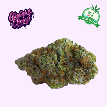 Blue Forest Berry hemp flower bud